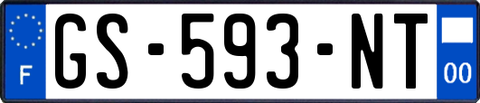 GS-593-NT
