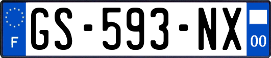 GS-593-NX
