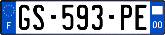 GS-593-PE
