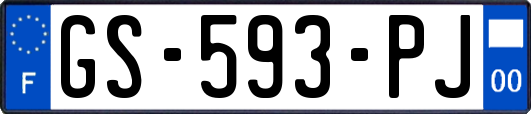 GS-593-PJ