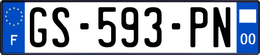 GS-593-PN
