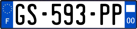 GS-593-PP