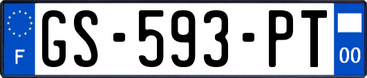 GS-593-PT
