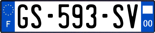 GS-593-SV