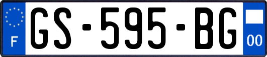 GS-595-BG