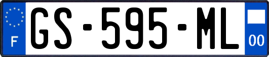 GS-595-ML
