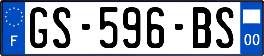 GS-596-BS
