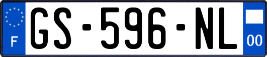 GS-596-NL