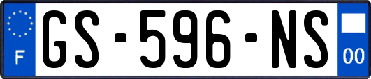GS-596-NS