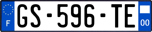 GS-596-TE