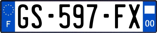 GS-597-FX