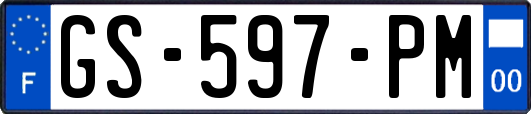 GS-597-PM