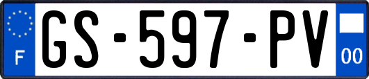 GS-597-PV