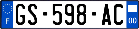 GS-598-AC