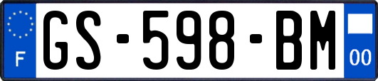 GS-598-BM