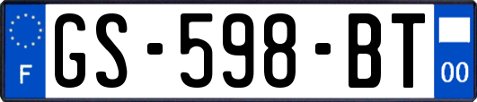 GS-598-BT