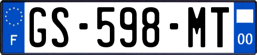 GS-598-MT