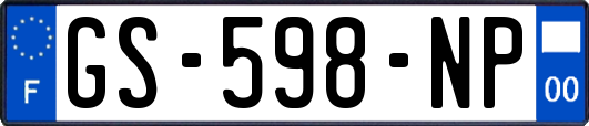 GS-598-NP