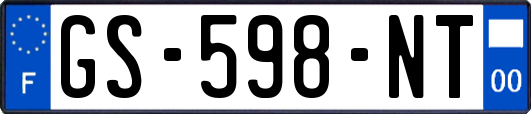 GS-598-NT