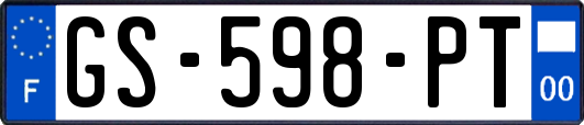 GS-598-PT