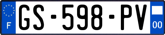 GS-598-PV