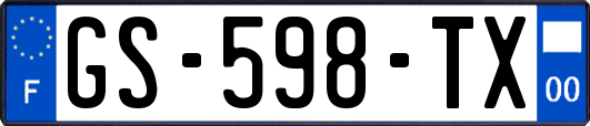 GS-598-TX