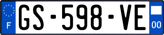 GS-598-VE