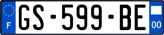 GS-599-BE