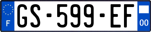 GS-599-EF