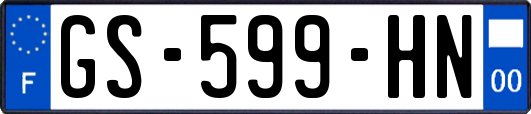 GS-599-HN
