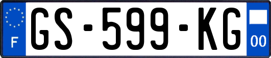 GS-599-KG