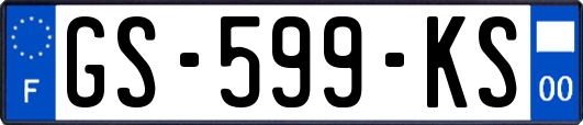 GS-599-KS