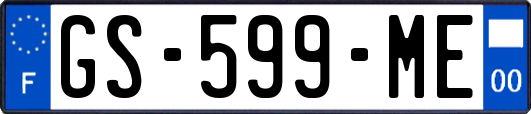 GS-599-ME