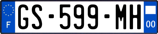 GS-599-MH