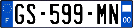 GS-599-MN