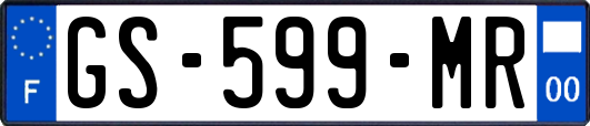 GS-599-MR