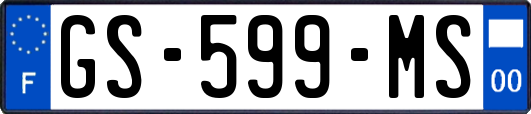 GS-599-MS