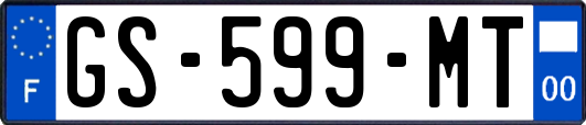 GS-599-MT