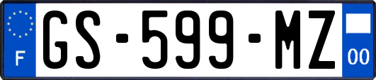 GS-599-MZ