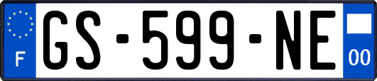 GS-599-NE