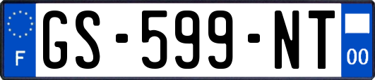 GS-599-NT