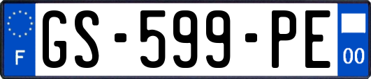 GS-599-PE