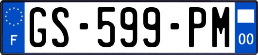 GS-599-PM