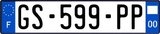 GS-599-PP