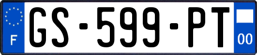 GS-599-PT