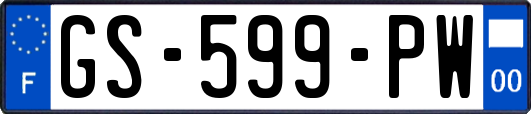 GS-599-PW