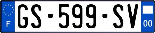 GS-599-SV