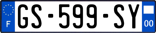 GS-599-SY
