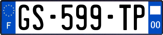 GS-599-TP