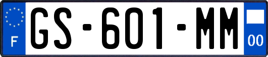 GS-601-MM